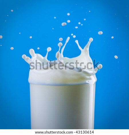 pouring milk in a glass isolated against blue background