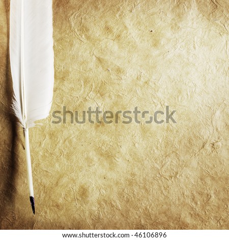 feather on a background of the empty form for the letter