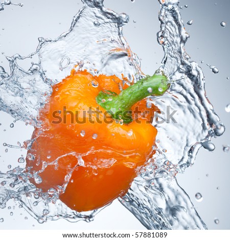 Pepper in spray of water. Juicy pepper with splash on white background