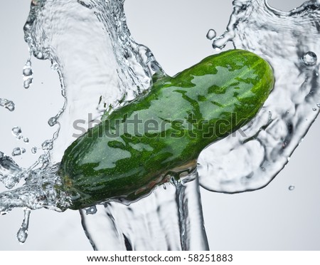 cucumber in spray of water. Juicy cucumber with splash on background