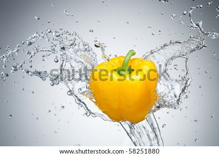 Pepper in spray of water. Juicy pepper with splash on gray background