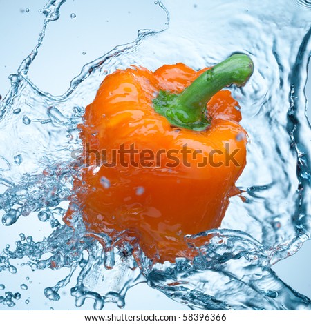Pepper in spray of water. Juicy pepper with splash on white background