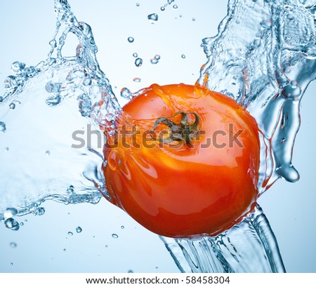 Tomato in spray of water. Juicy tomato with splash on white background