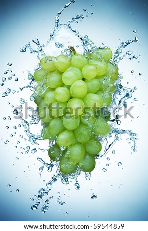 grape in spray of water. Juicy grape with splash on background