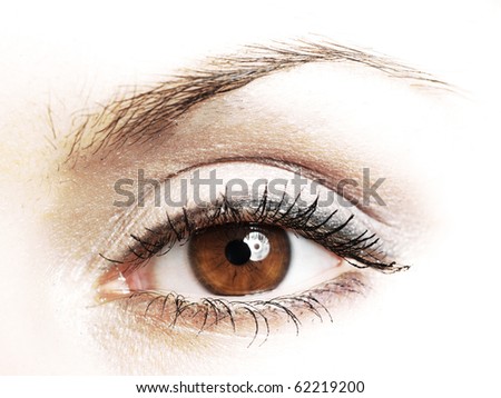 Women eye, close-up, painted brown