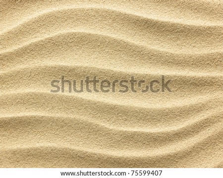 beach sand background. view each sand background