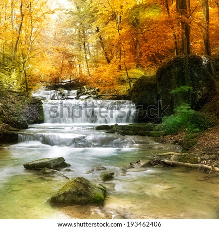 Autumn creek woods with yellow trees foliage and rocks in forest mountain.