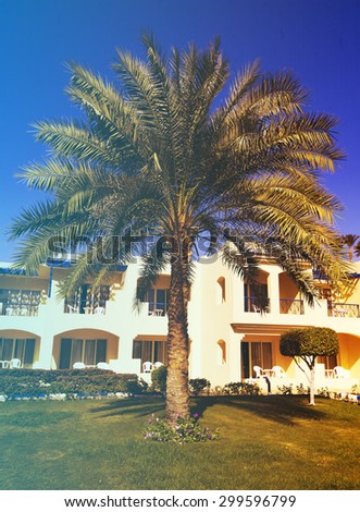 Palms and bungalow in hotel in Sharm el Sheikh, Egypt. Filtered image: vintage effect.