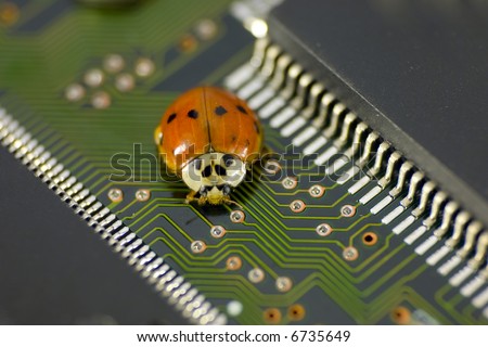 Computer Bug. Ladybird on a hard disk drive.
