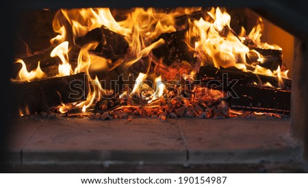 fire in a wood burning oven