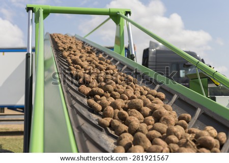 Harvesting potatoes in Lower Saxony, Germany