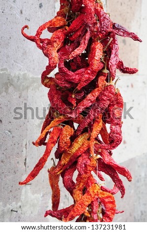 Garland of dry red hot chilly peppers