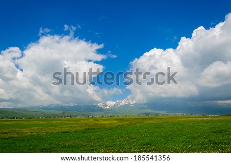 Field landscape with cumulus clouds