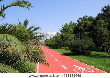 Cycle track in Batumi seaside park