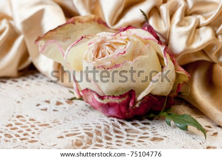 withered rose on an ancient manual lace and gloves.