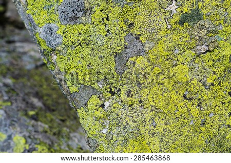 Alpine granite boulder covered with green moss texture with small ice parts