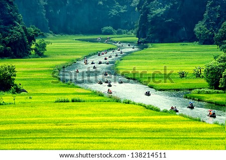 Rice field and river NinhBinh vietnam landscapes Rice field and river NinhBinh vietnam landscapes