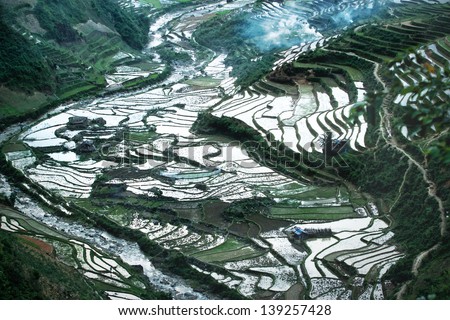 terraced rice filed with color palete, vietnam #2. Rice filed of terraces , Yen bai, viet nam