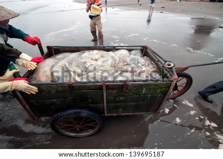 NAMDINH, VIETNAM - APRIL 21: A group of unidentified fishers sort out their catch on the shore and sell fish to dealers on APRIL 21, 2013 in NamDinh, Vietnam. Fishing is a traditional craft in