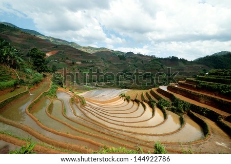 Terraced rice fields. Terraced rice fields with water in Mu Cang Chai, Vietnam