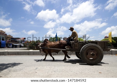NINHBINH, VIETNAM - JUNE 01: One man riding a cow on June 01, 2013 in Ninhbinh, Vietnam. Animal-drawn vehicles is very limited in Vietnam