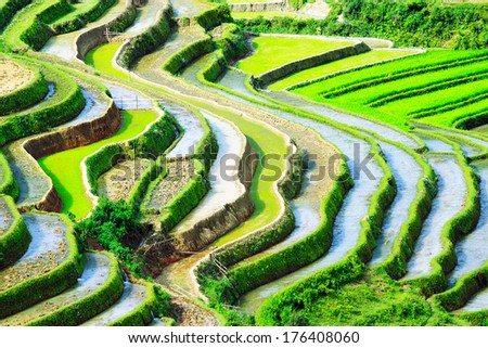 Beautiful terraced rice field landscape in water season in MuCangChai, YenBai province, Vietnam