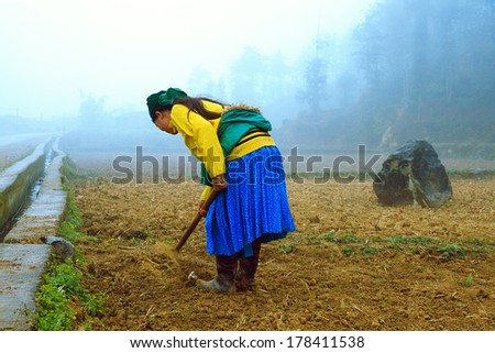 woman digging ethnic minorities in mountain in fog in Hagiang, Vietnam