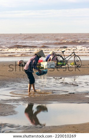 NAMDINH, VIETNAM AUGUST 10, 2014: unidentified woman in the fish trade Haithinh coast, Namdinh. This form seems small sale is traditional of Vietnam fishermen.