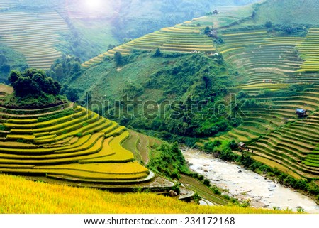 Landscape rice fields on terraced of Mu Cang Chai, YenBai, Vietnam in fog. Rice fields prepare the harvest at Northwest Vietnam.