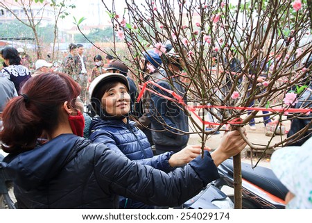 NAMDINH, VIETNAM February 15, 2015: unidentified woman sells cherry blossom. In Vietnam cherry blossom symbolizes good luck in the new year.