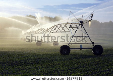 sun shines through the spray of a crop irrigation system