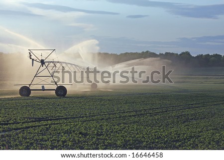 irrigation piping system waters crops across the field