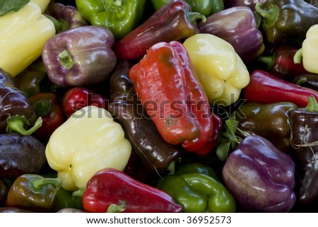 several colorful garden peppers for background use