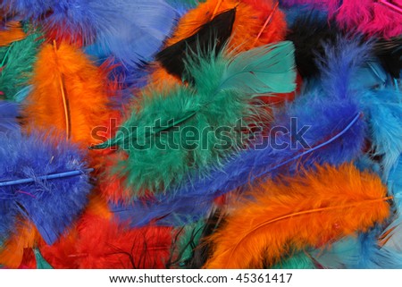 many brightly colored feathers make a background
