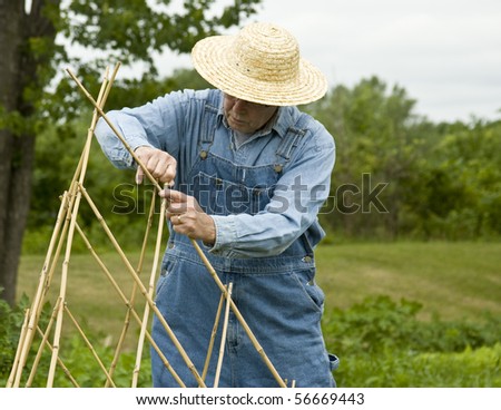bamboo trellis being made by farmer in bib overalls and straw hat