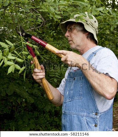 man in bib overalls trimming bushes
