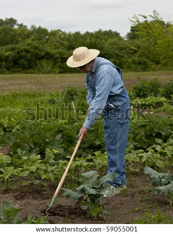 man in bib overalls weeding the garden in vertical format