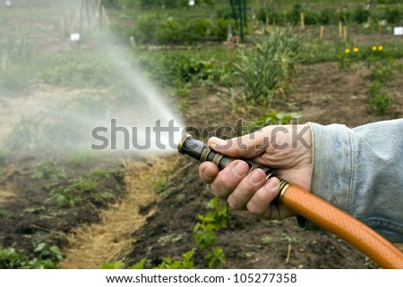 close up of a garden hose spraying water on a garden