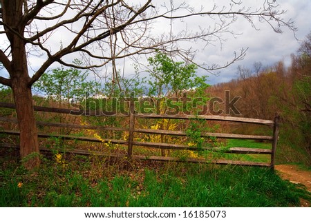 Early Spring at a local nature conservation area with foreground fence.