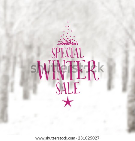 Vector Retro Winter banner typography. Winter sale Label with christmas decoration in blurred landscape background.