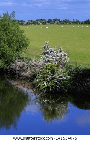 river avon stratford-upon-avon warwickshire england uk