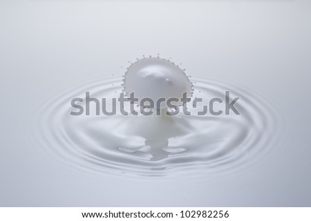 A small milk drop fall on milk surface and bounce back, colliding with the second one to form a beautiful mushroom shaped splash.
