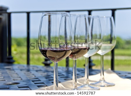 Wine Tasting by the Vineyard