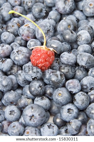 One Raspberry on a Pile of Blue Berries