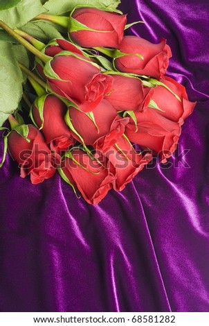 A Dozen of Red Roses on Purple Velvet