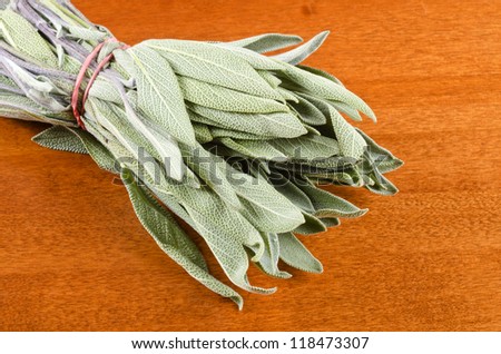 Bundle of Fresh Sage Herb on a Table Surface