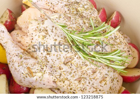 Marinated Raw Chicken in a Dutch Oven Ready for Roasting
