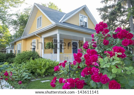 Pink Rose Bush in Front of a Beautiful Yellow House