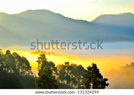 Sea of mist. View from high mountain. Doi angkhang mountain, chiangmai Thailand.