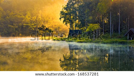 morning at a swamp lake on nongchangkod River, Chiangrai, Thailand